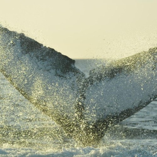 <b>Exceptional Nicaragua</b> : <br> A luxury tour to discover the best sites