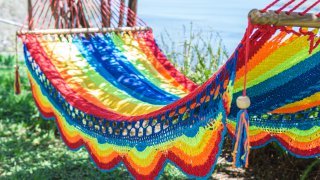 Avis voyageur CHRISTIAN HAESSLER