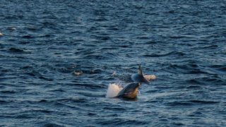 Sailing the Pacific coast of Nicaragua <br> <b>on a Catamaran</b>