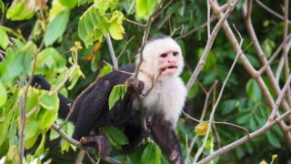 <b>Self drive family trip </b>to Nicaragua