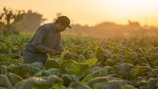 <b>Cultural journey</b><br> in the heart of Nicaragua