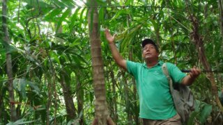 Terra Nicaragua is labeled Travelife Partner for responsible travel