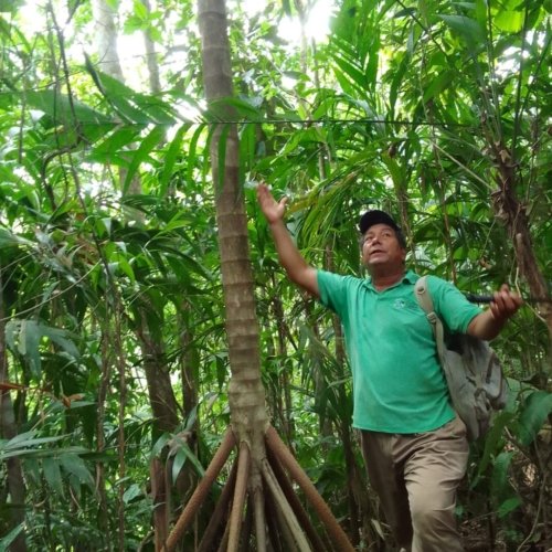 Terra Nicaragua is labeled Travelife Partner for responsible travel