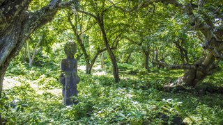 The Zapatera island & archipelago,<br> <b>isla Zapatera</b>